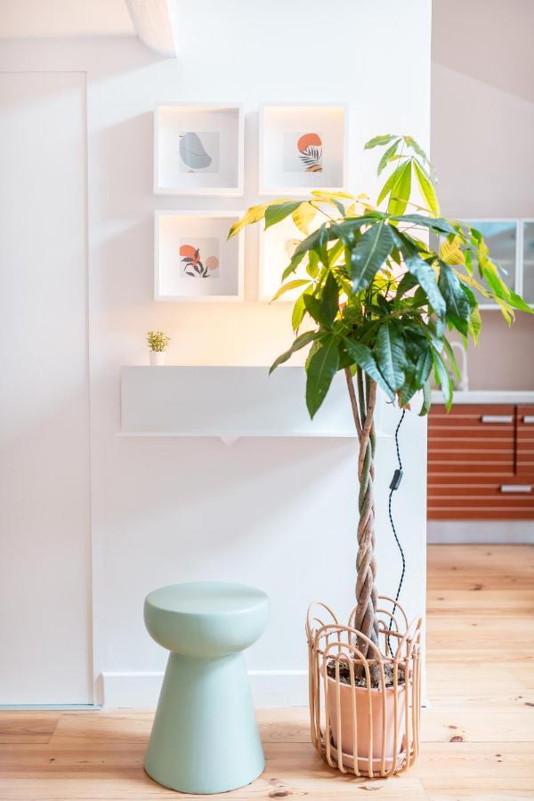 Duplex Au Coeur Du Vieux 尼斯 外观 照片